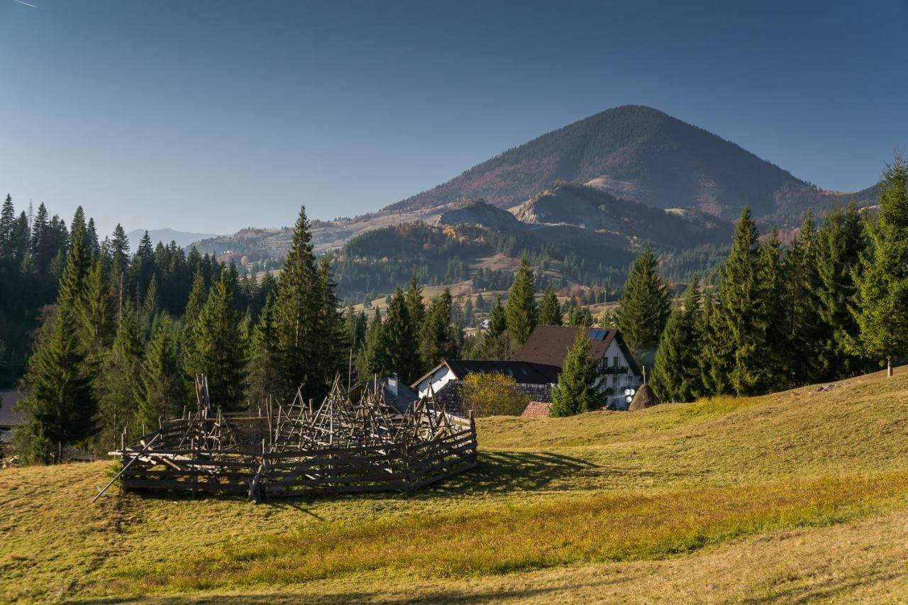Pensiunea Izvorul Zanelor Colibiţa Exterior foto