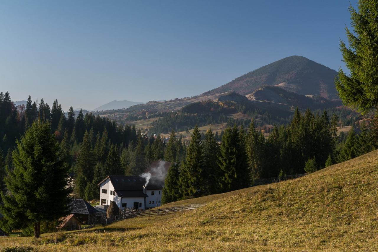 Pensiunea Izvorul Zanelor Colibiţa Exterior foto