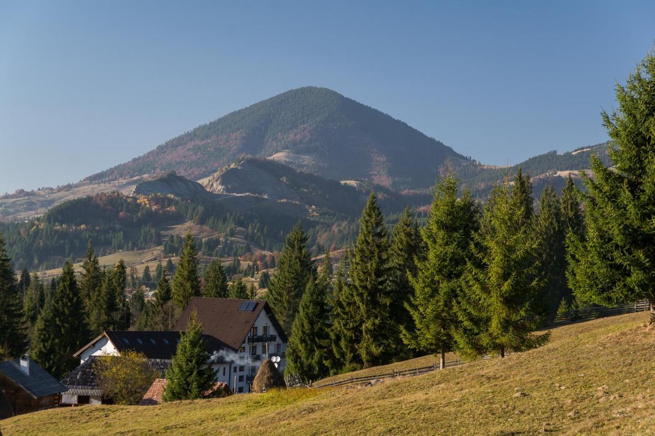 Pensiunea Izvorul Zanelor Colibiţa Exterior foto